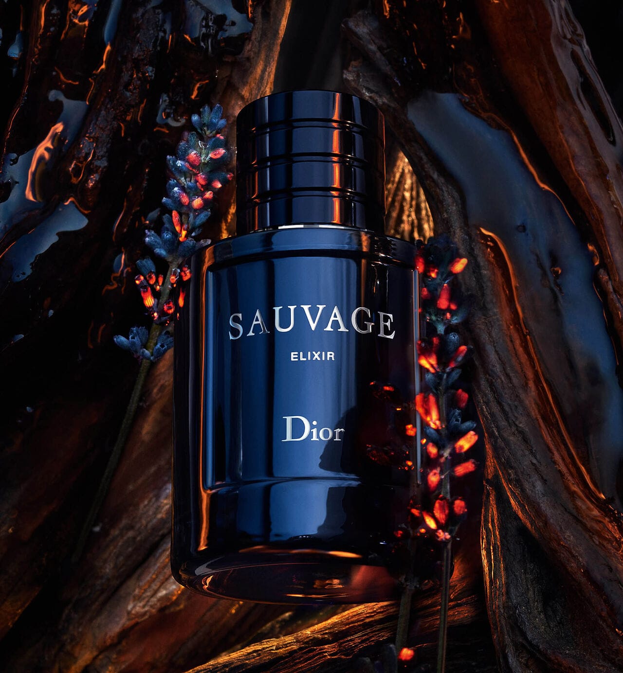 Christian Dior Men's Sauvage Elixir Spray